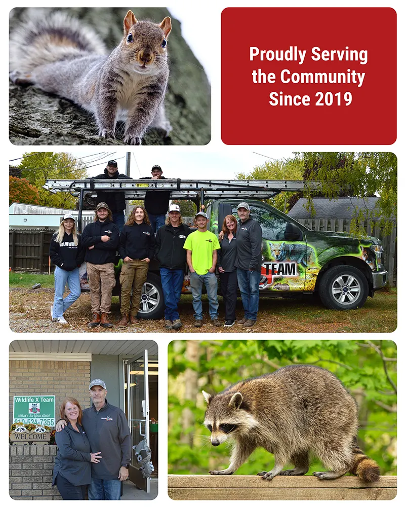 Serving the community since 2019 image collage